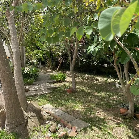 El Pitijopo, Con Piscina Compartida Chalet
